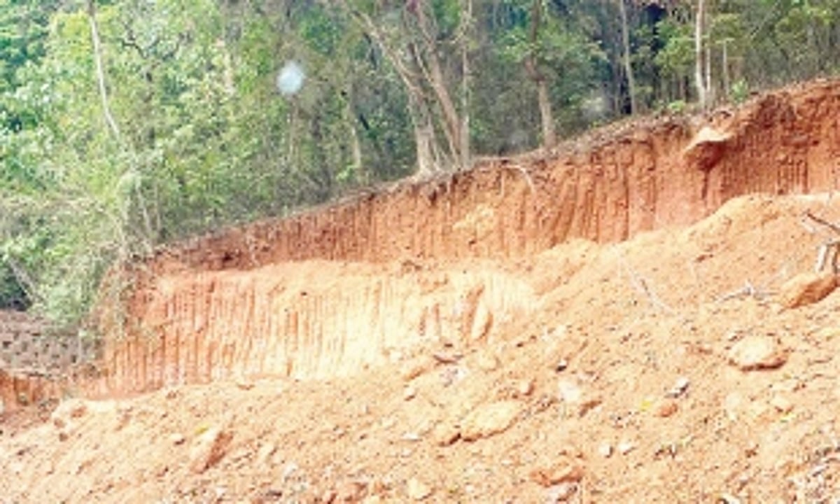 Complaint filed against  hill cutting at Kavlem