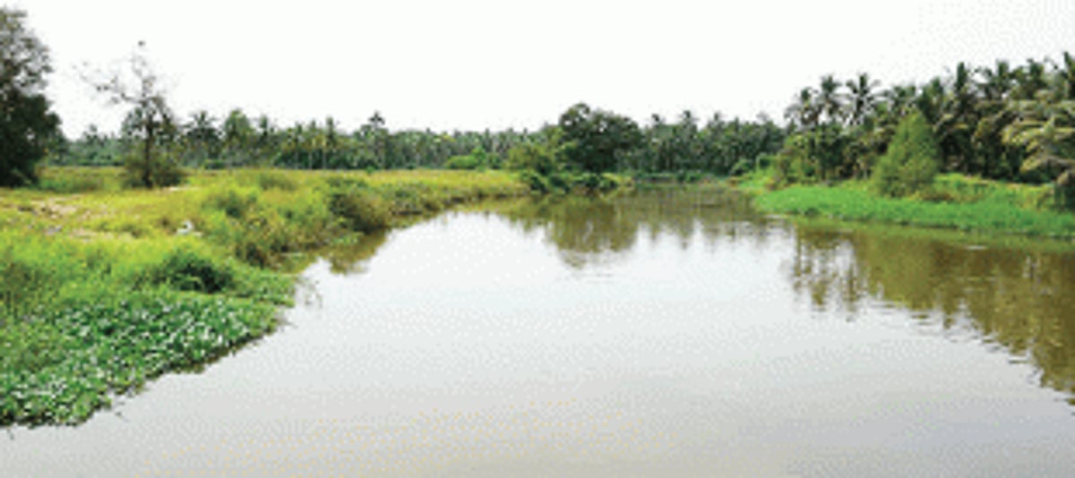 Complaint filed against  ‘destruction’ of River Sal in Orlim