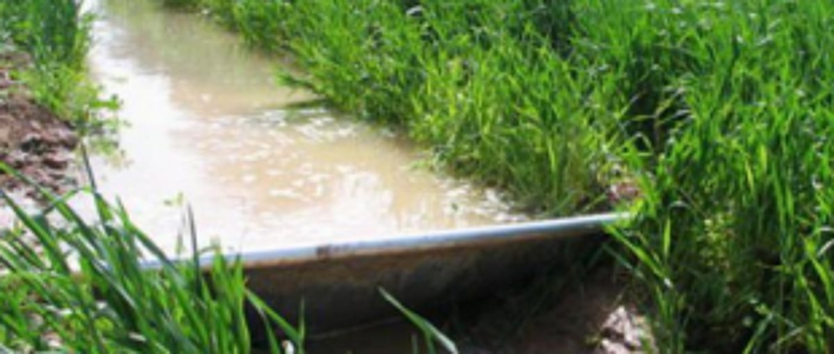 Concern raised over releasing  waste water in Agri land
