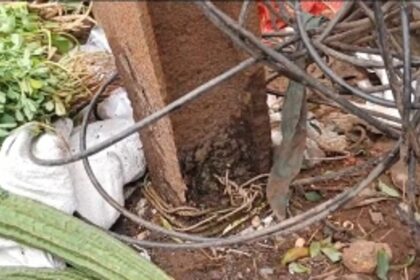 Concerns Mount as Tilted Electricity Pole Goes Unaddressed in Rawanfond Circle