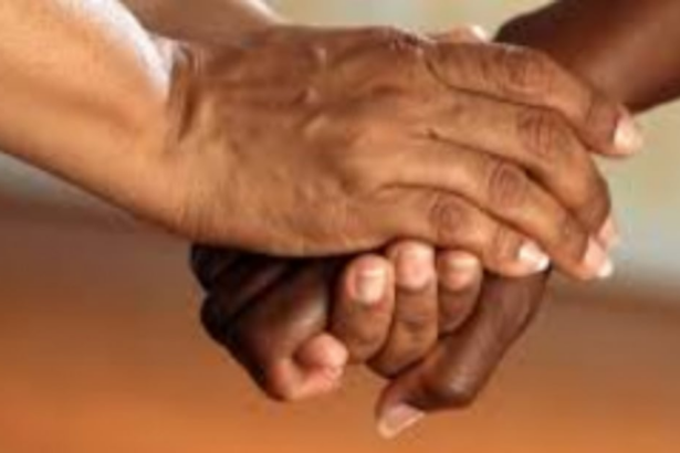 Conduct an outreach prog to help widows: GWF