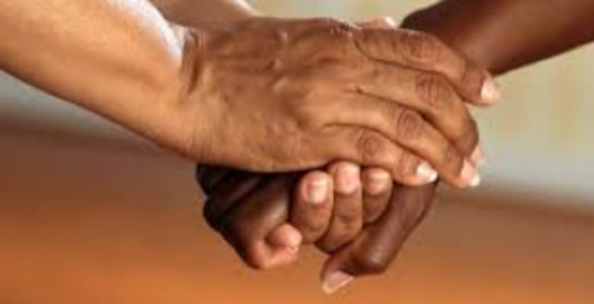 Conduct an outreach prog to help widows: GWF