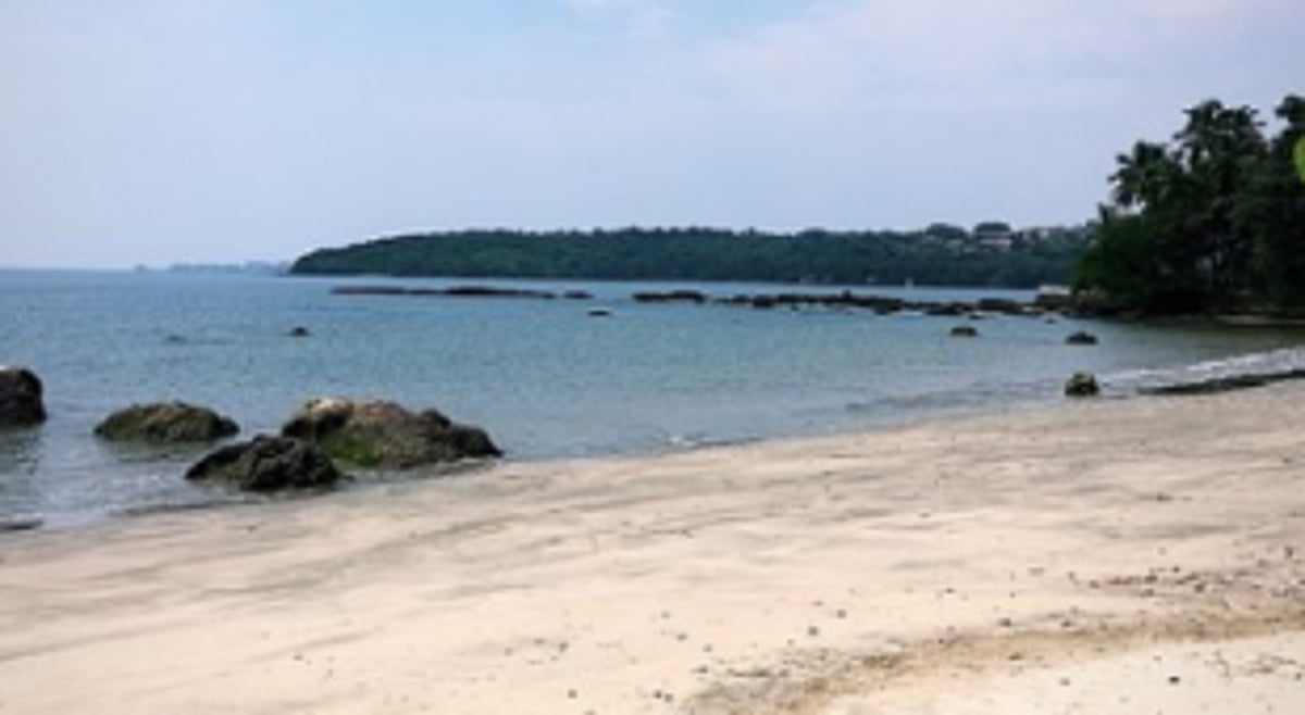 Cong alleges cover up of newborn’s death