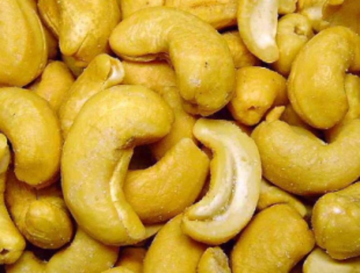 Cong demands higher price for cashew produce
