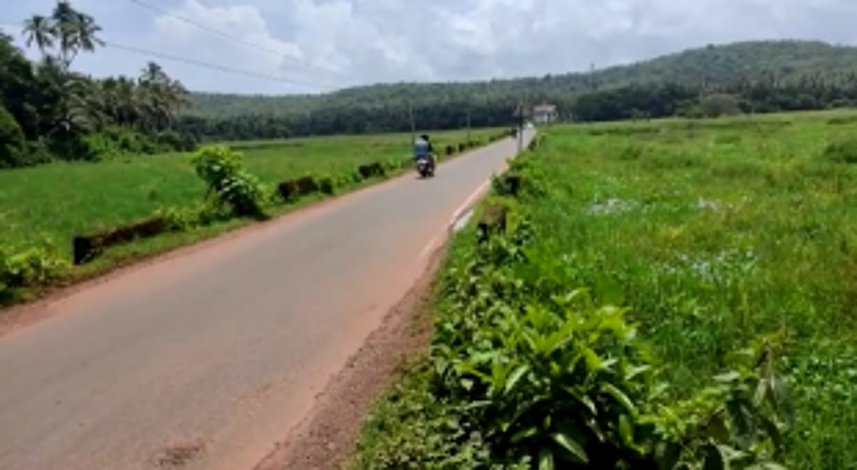 Constant water accumulation paralyses farming in Siolim