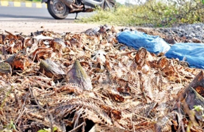 Consumers angry over unhygienic  conditions at Madel fish market