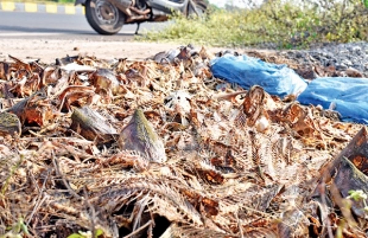 Consumers angry over unhygienic  conditions at Madel fish market
