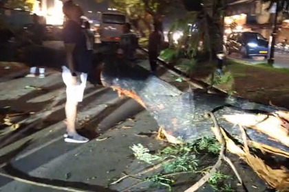 Container Truck Traced in Panjim Jetty Tree Collapse Incident