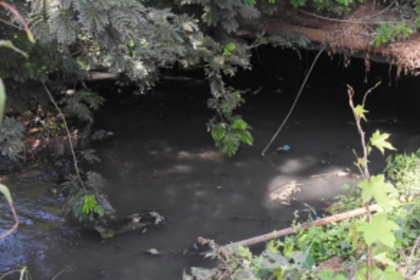 Contamination of Sal River discussed by MMC Core panel