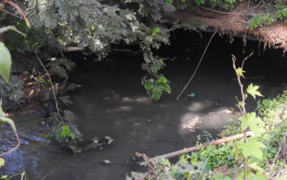 Contamination of Sal River discussed by MMC Core panel