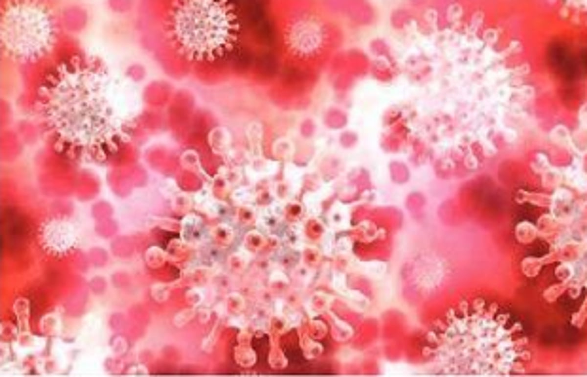 Contesting an edited reality