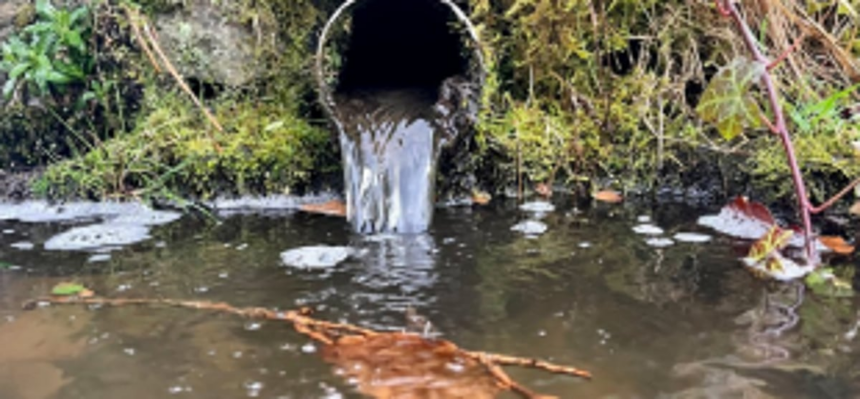 Contractor to face action for releasing raw sewage in open at Patto