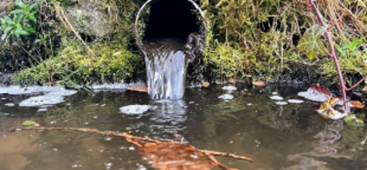 Contractor to face action for releasing raw sewage in open at Patto