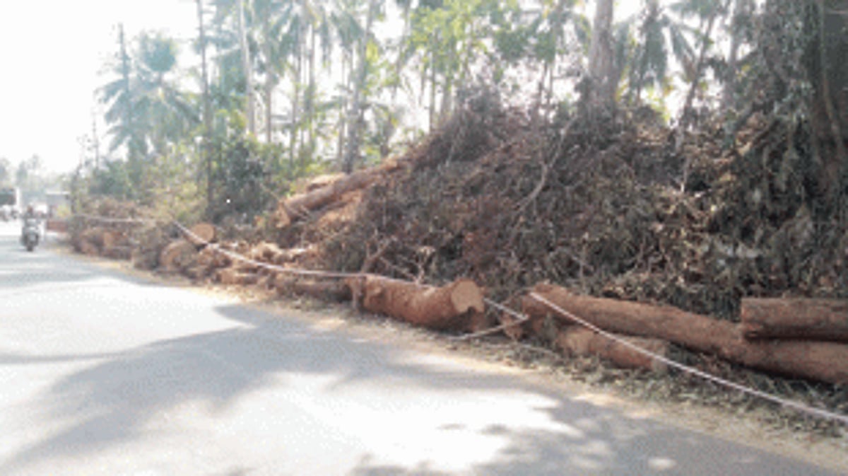 Contractor’s lethargy endangers travelers