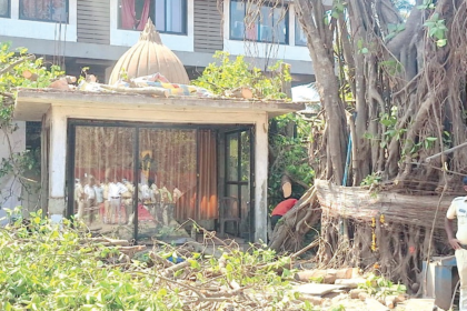 Controversial Cutting of 200-Year-Old Banyan Tree in Porvorim Sparks Protest, Opposition Leaders Absent