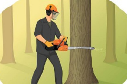 Controversy Erupts Over Alleged Illegal Tree Felling Near High Court of Goa