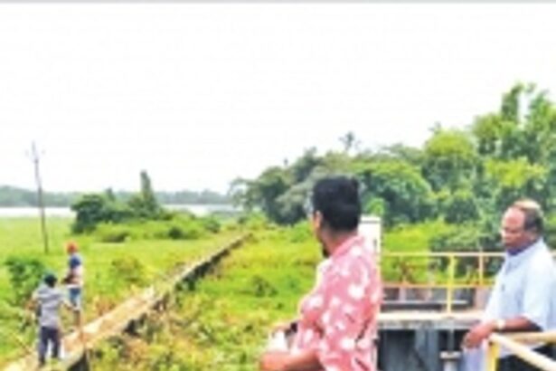 Controversy erupts as speculation arises over proposed road construction through Saipem lake fields