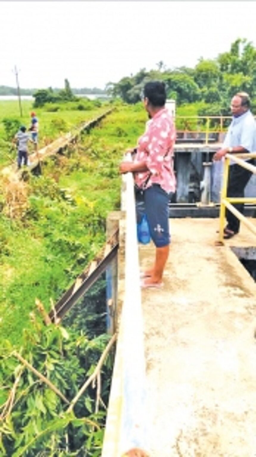 Controversy erupts as speculation arises over proposed road construction through Saipem lake fields