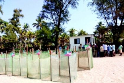 Controversy shrouds relocation of turtle conservation centre in Agonda