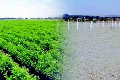 Conversion axe hangs on huge land parcels in Pernem, Bardez