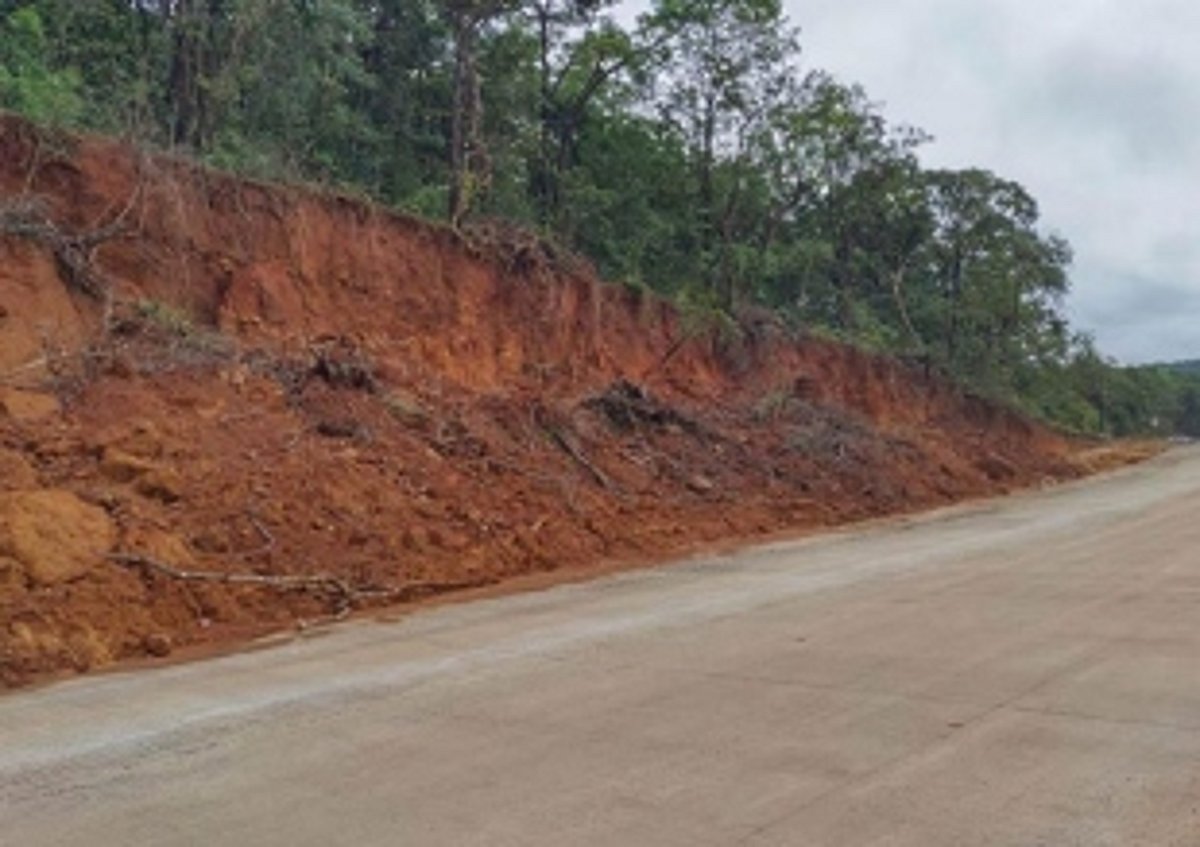 Convey people’s demand on scrapping  3 linear projects to SC, CEC urged