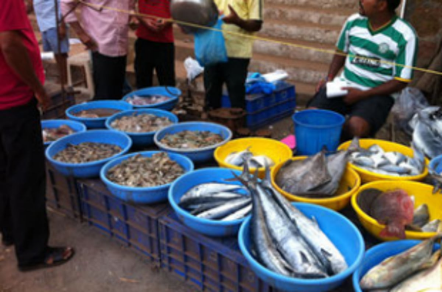 Cops stop fish sale at Siolim Tar Market