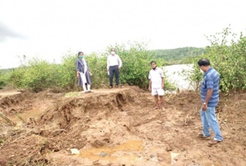 Corgao farmers urge govt to construct  concrete protection wall to save fields