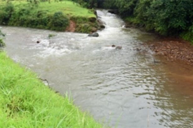 Corporates transporting coal through Goa want Mhadei waters diverted: Activist