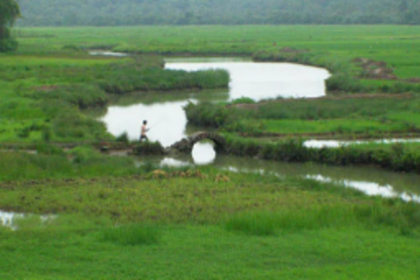 Correia says Comunidade system should also be for daughters of the soil