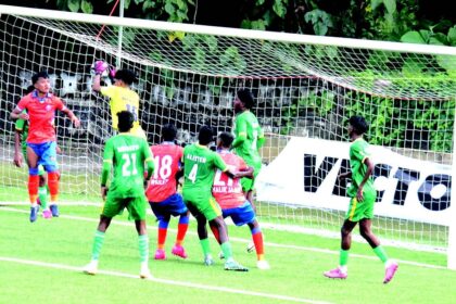 Cortalim Villagers tame young Gaurs