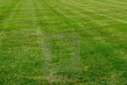 Cotarli IIT site now turns lush green after IIT goes