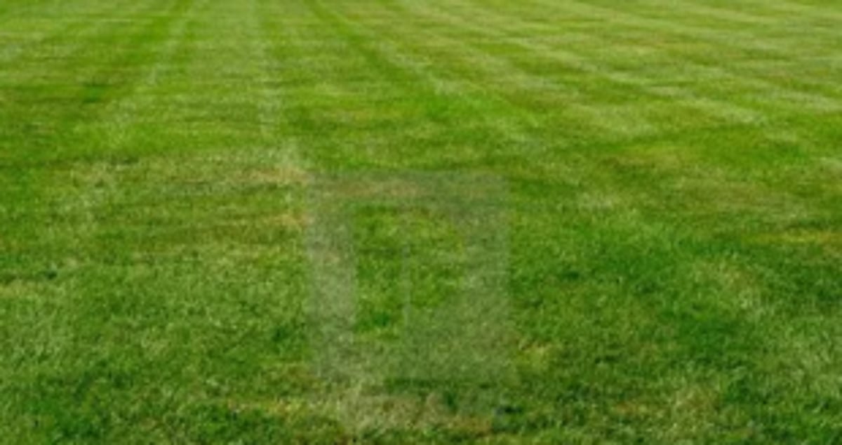 Cotarli IIT site now turns lush green after IIT goes