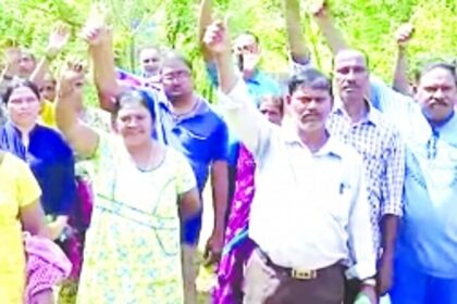 Cotarli farmers call out MLA, show off cashew, coconut plantations at IIT plot