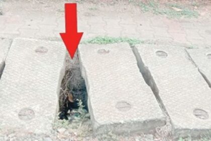 Cover exposed gap between  concrete slabs at Ponda
