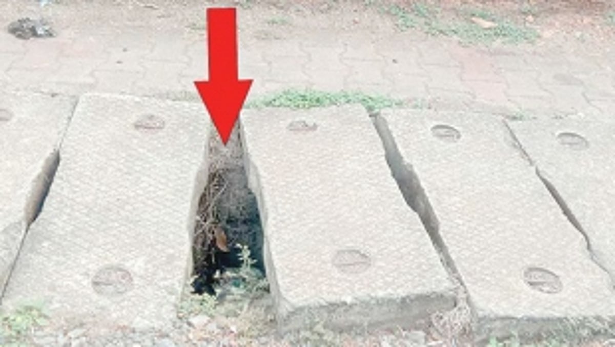 Cover exposed gap between  concrete slabs at Ponda