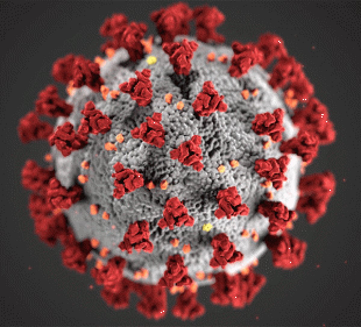 Covid positive cases soar to 1432 in 24 hrs