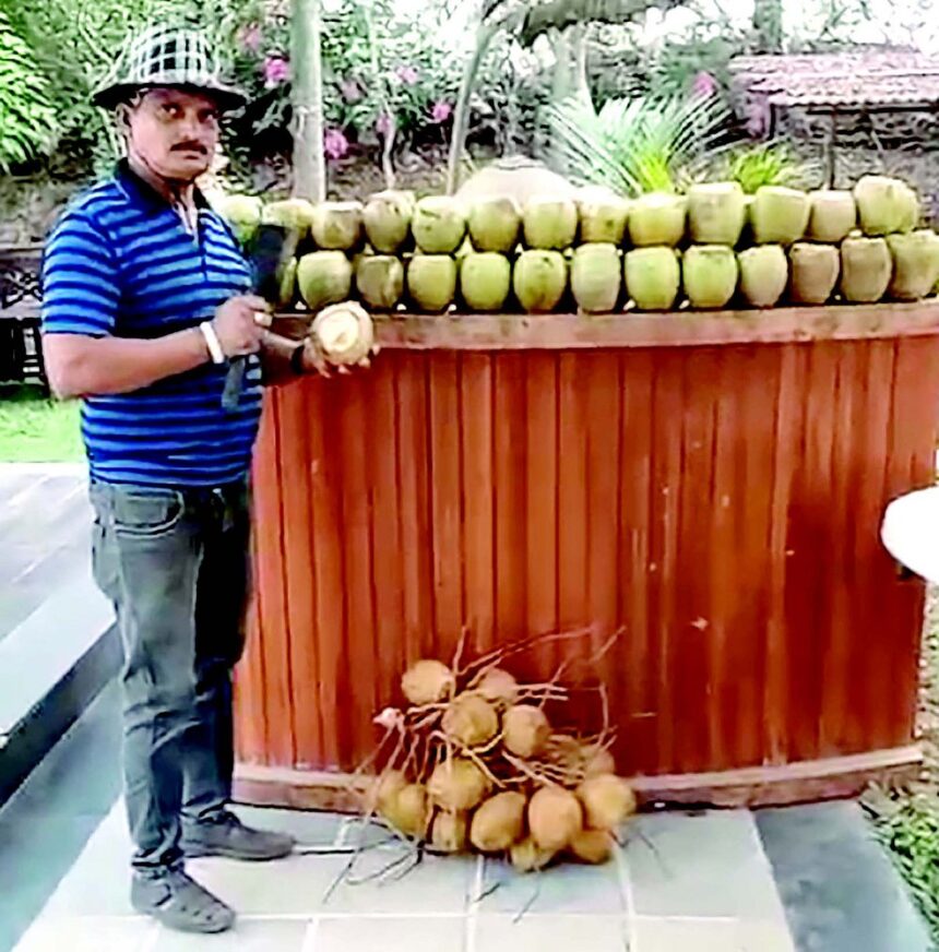 Cracking open a new life: Benaulim’s smiling tender coconut vendor Cornelio Fernandes 1 Cracking open a new life: Benaulim’s smiling tender coconut vendor Cornelio Fernandes