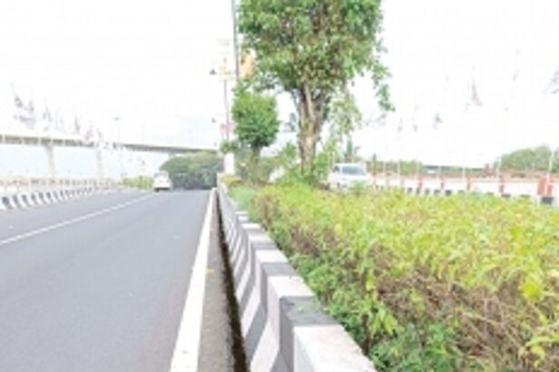 Cracks on new Patto-Panjim  bridge are part of design: PWD