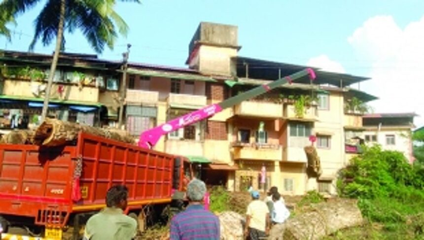 Crane touches overhead power  lines; operator dies on the spot