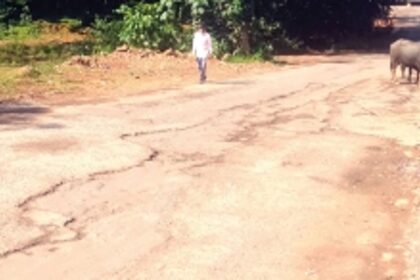 Crater-filled road at Daag stands out as a blot on Ponda’s landscape