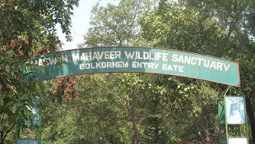 Creative writing contest for students on Mollem movement