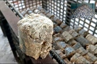 Crematorium in Margao turns trailblazer, introduces use of biomass briquettes