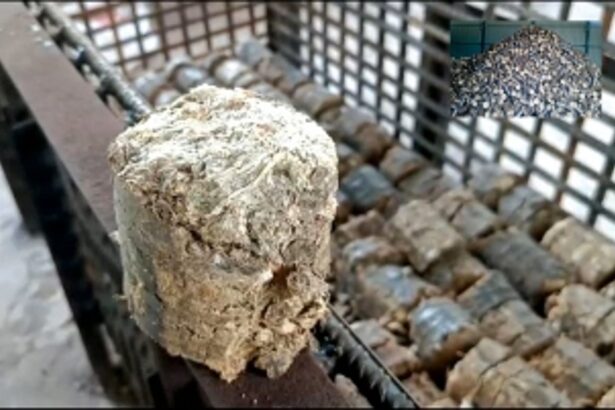 Crematorium in Margao turns trailblazer, introduces use of biomass briquettes