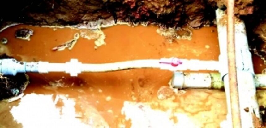 Cries from Siolim: First, their trees were cut, now their throats are dry