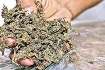 Crime Branch Seizes 30 Kg Ganja in Mapusa; Two Maharashtra Men Arrested