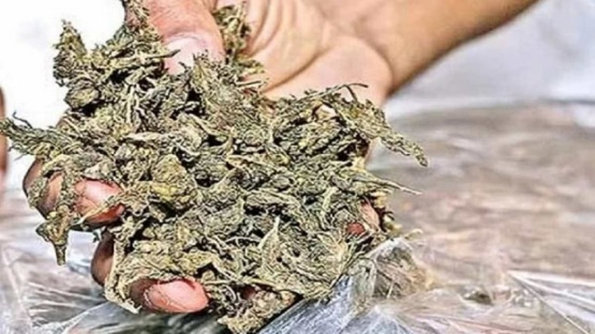 Crime Branch Seizes 30 Kg Ganja in Mapusa; Two Maharashtra Men Arrested 1 Crime Branch Seizes 30 Kg Ganja in Mapusa; Two Maharashtra Men Arrested
