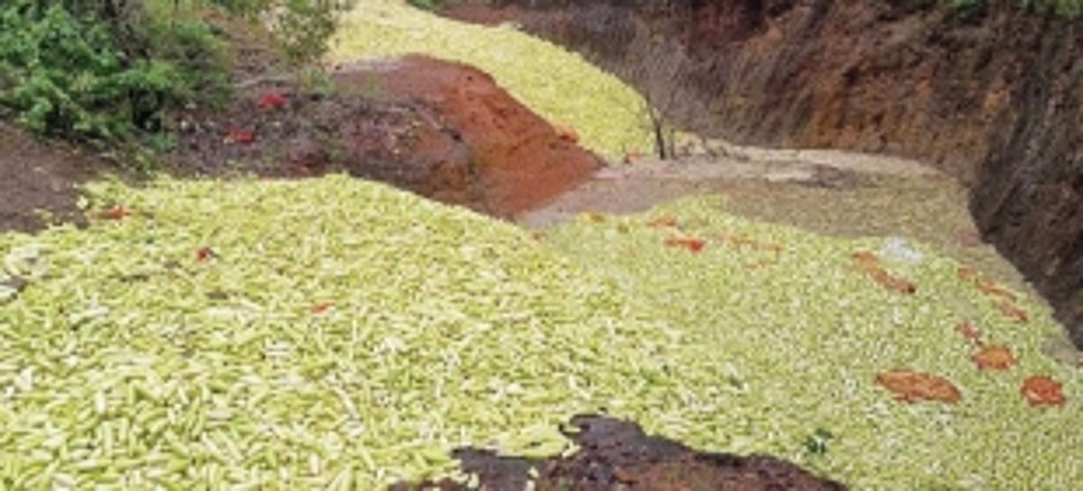 Cucumbergate: No clean-up initiated, P’yat to approach Agri Dept