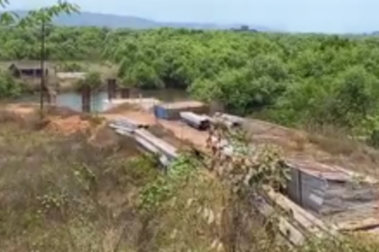 Cumbarjua-St Estevam bridge: NGT disposes plea seeking NOC revocation