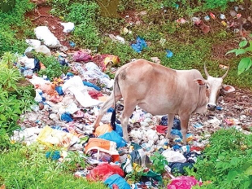 Cuncolim faces containment challenge - garbage