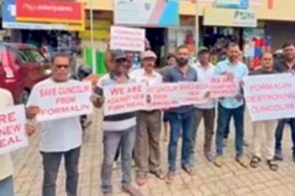 Cuncolim fish meal row deepens as councillor alleges minister’s backing